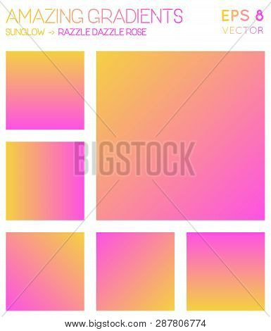 Colorful Gradients In Sunglow, Razzle Dazzle Rose Color Tones. Alive Background, Awesome Vector Illu