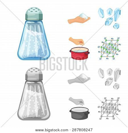 Vector Illustration Of Cooking And Sea Icon. Set Of Cooking And Baking   Vector Icon For Stock.