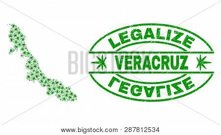 Vector Cannabis Veracruz State Map Collage And Grunge Textured Legalize Stamp Seal. Concept With Gre