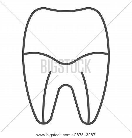 Tooth Root Thin Line Icon. Tooth Canal Vector Illustration Isolated On White. Dental Care Outline St