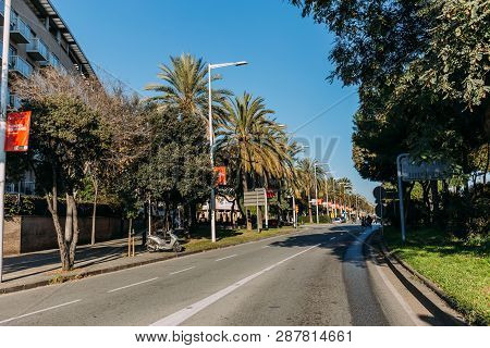 Barcelona, Spain - December 28, 2018: Cozy Street With Green Trees Growing Along Roadway