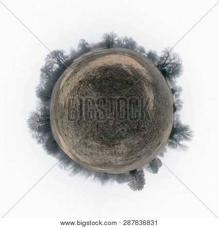 Spherical panorama of a drab, gloomy field with dry grass, surrounded by leafless trees in heavy fog; concept of a sad, desolate planet