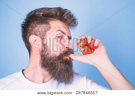 Hipster Bearded Holds Strawberries Fist As Juice Bottle. Man Strict Face Enjoy Fresh Drink Strawberr