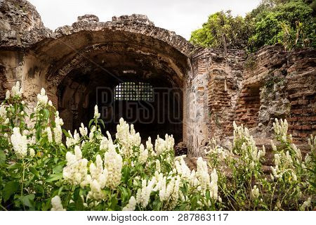 Ruins In Hermano Pedro With Green Garden, Antigua, Guatemala