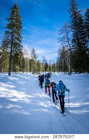 Group Of Adults Snowshoeing Thruogh A Forest On Snowy Plateau Kaiserau With Mountain Admonter Kalbli