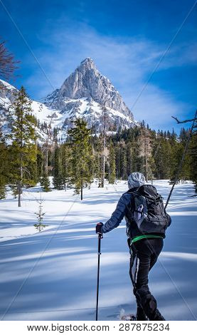 Man Snowshoeing Thruogh Forest On Snowy Plateau Kaiserau With Mountain Admonter Kalbling On A Sunny 