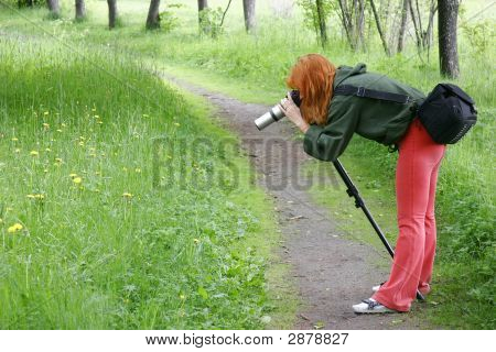 Pige tager makro foto i parken