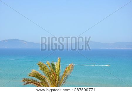 Palm Top Overlooking The Azur Water Of Mediterranean Sea And Mountains In Greece