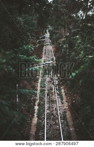A Dark Atmospheric Railroad Track In An Alley Of Greenery Stretching Into The Distance; A Beautiful 
