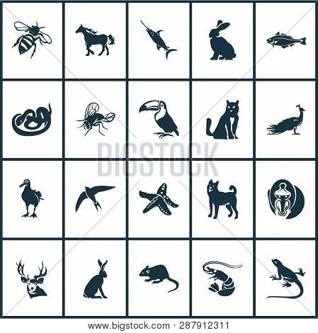 Animal Icons Set With Swift, Albatross, Lizard And Other Tropical Bird Elements. Isolated Vector Ill
