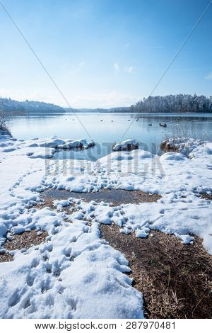 The Lake Osterseen Bavaria Germany winter scenery
