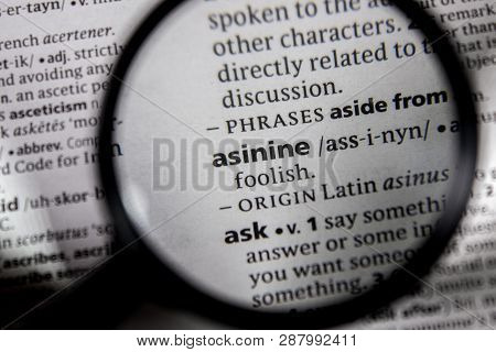 The Word Or Phrase Asinine In A Dictionary Book.