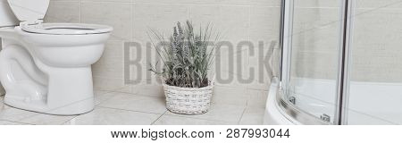 Bathroom banner background.