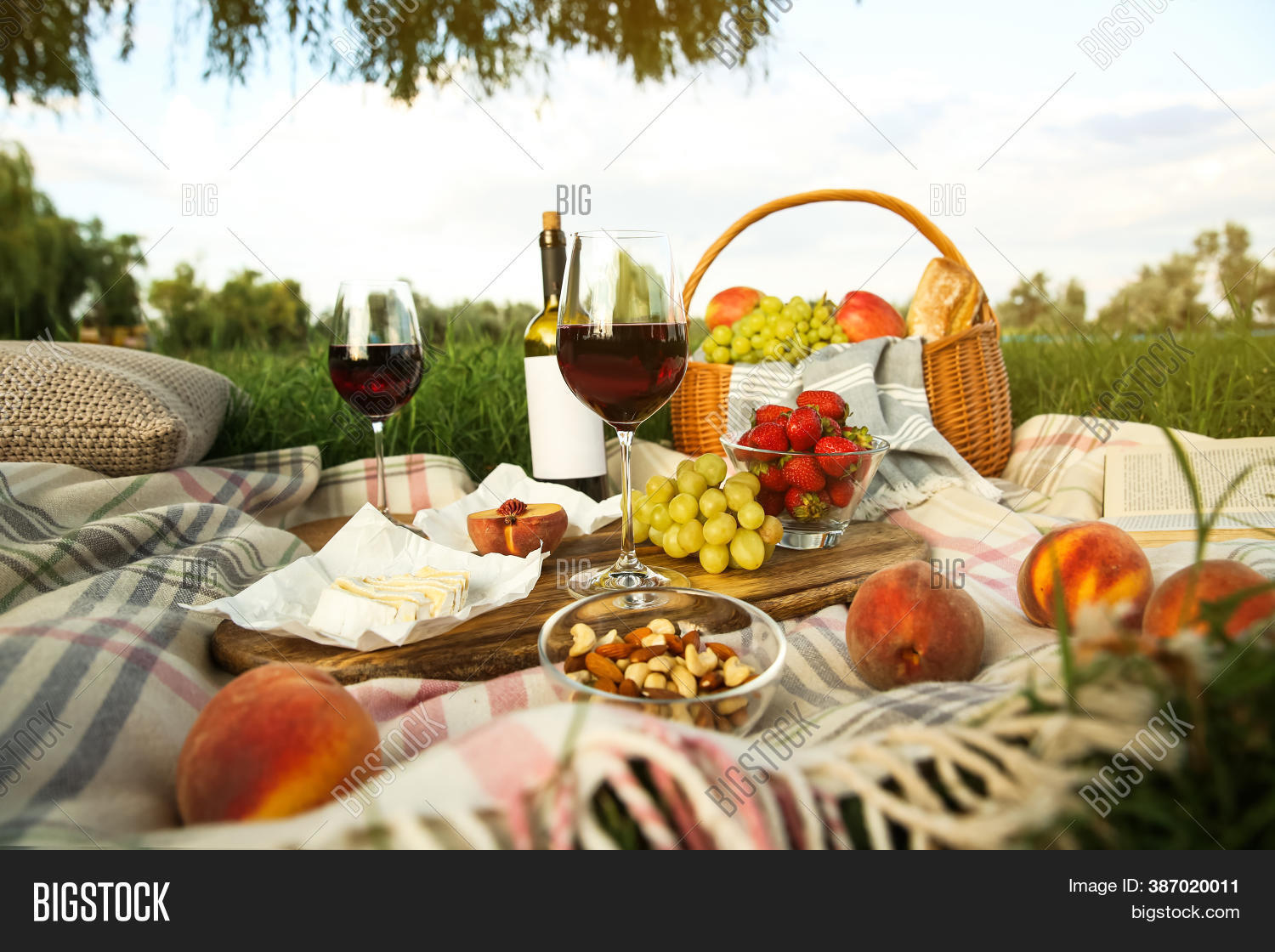 Picnic Blanket Image & Photo (Free Trial) Bigstock