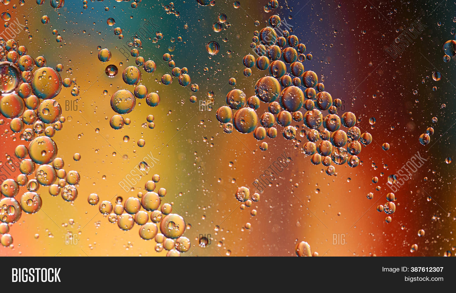 Oil Bubbles On Color Image & Photo (Free Trial) Bigstock