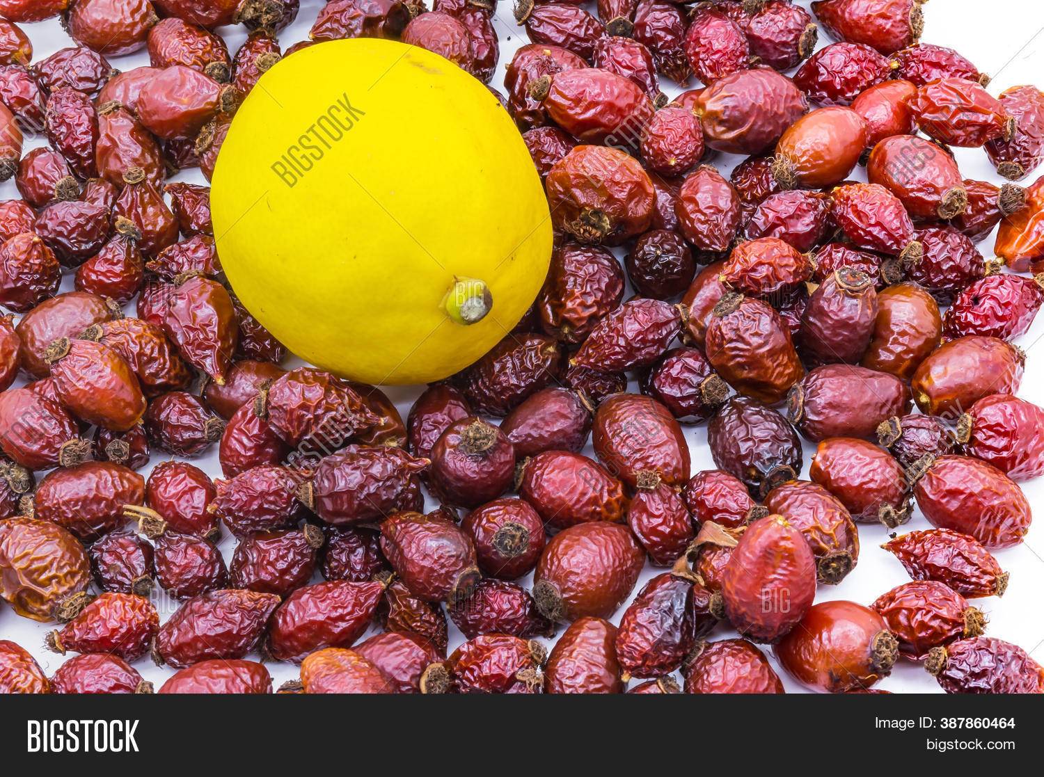 Dried Rosehip Berries Image & Photo (Free Trial) Bigstock