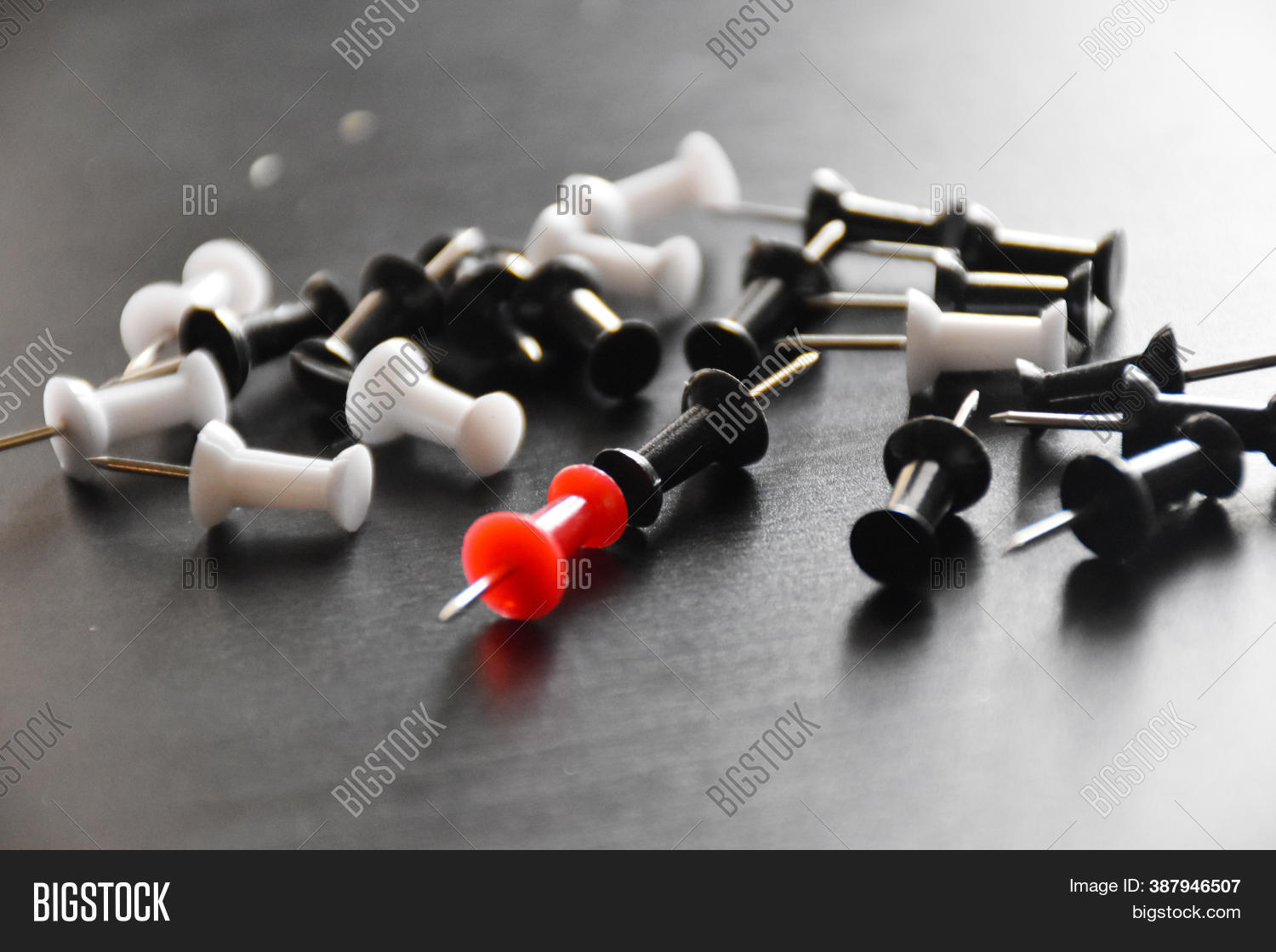 Colorful Punch Pins Image & Photo (Free Trial) Bigstock