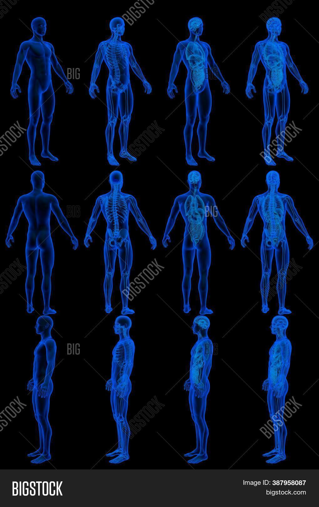 12 High Resolution Image & Photo (Free Trial) | Bigstock
