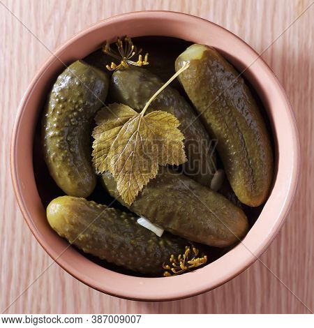 Pickled Cucumbers In A Bowl. Marinated Appetizer Close Up