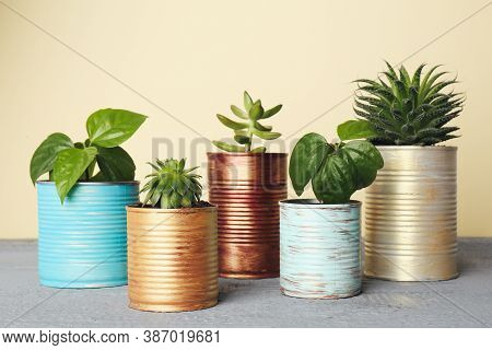 Beautiful Houseplants In Tin Cans On Light Grey Wooden Table
