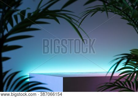 Concrete Foursquare Showcase On Aquamarine Background Near Tropic Leaves. 3d Rendering. Copy Space. 
