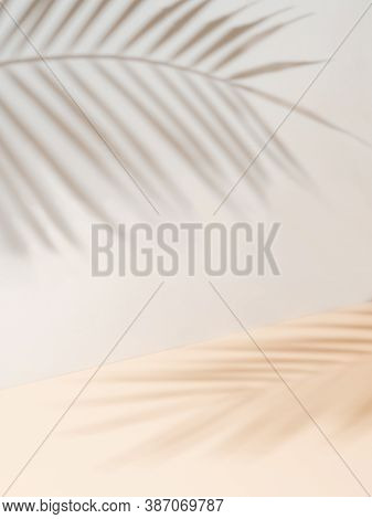 Palm Leaf Shadows On White Wall And Cream Pastel Floor. Abstract Background Of Shadows Palm Leaves F