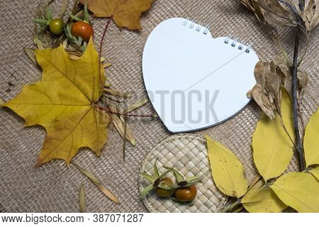 Blank Brown Frame, Maple Leaves And Wood On White And Brown Background. Top View Flat Lay Autumn Nat