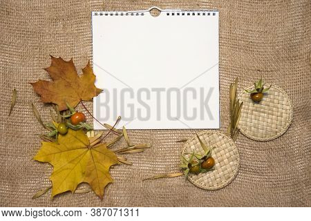 Blank Brown Frame, Maple Leaves And Wood On White And Brown Background. Top View Flat Lay Autumn Nat