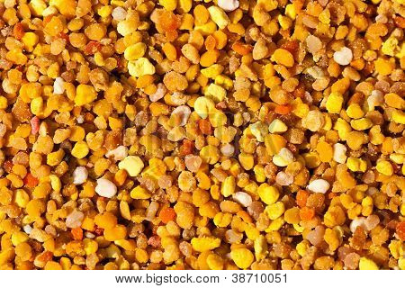 Texture Of Colorful Pollen Collected By The Bees