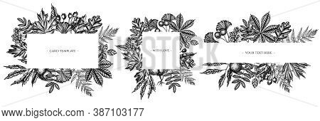 Frames With Black And White Fern, Dog Rose, Rowan, Ginkgo, Maple, Oak, Horse Chestnut, Chestnut Hawt