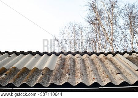 Old Roof With Moss Against The Blue Sky
