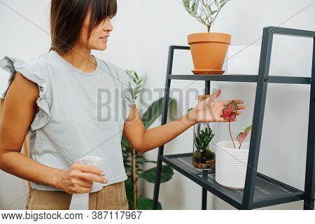 Caring Young Woman Touching Leaf Of A Potted Plant, Amased With Its Color