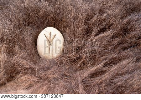 Algiz Nordic Stone Rune On Animal Fur. Letter Eolh Of The Viking Alphabet.