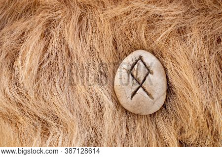 Othila Or Othial Nordic Stone Rune On Animal Fur. Letter Ethel Of The Viking Alphabet.