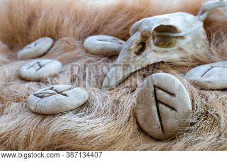 Stone Ansuz Runes And Bird Skull On A Animal Fur. Futhark Viking Alphabet. Close Up Photo Of Norse R