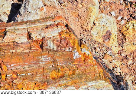 Petrified Wood Close Up, Colorful Shades Of Red, Orange, Purple, Yellow And Grey Example Of Fossiliz