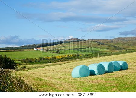 Riga di plastica avvolto balle di fieno su un campo con fattoria sullo sfondo