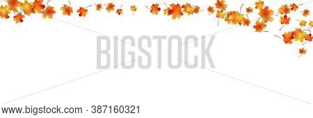 Horizontal Pattern Bright Colorful Maple Autumn Foliage With Shadow Isolated On White. Graphic Desig