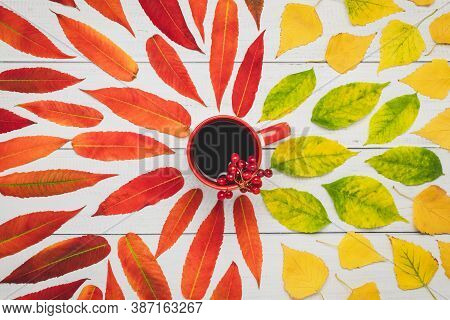 Red Cup Of Tea With Viburnum Berries And Yellow Autumn Leaves On A Wood Table, Autumnal Flat Composi