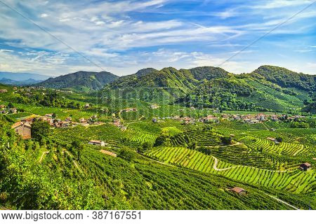 Prosecco Hills, Vineyards Panoramic Landscape. Unesco Site. Valdobbiadene, Treviso, Veneto, Italy, E