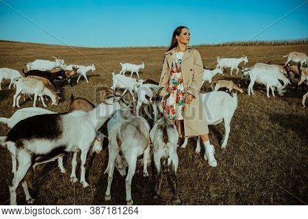 Handsome Female Shepherdess Stands In A Pasture Among A Herd Of Goats.