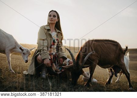 Handsome Female Shepherdess Sits In A Pasture Among A Herd Of Goats At Sunset.