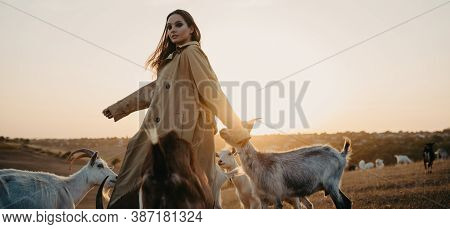Handsome Female Shepherdess Walks In A Pasture Among A Herd Of Goats At Sunset.