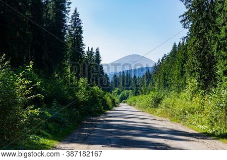 View Of Mount Hoverla From The Road. The Top Of Mount Hoverla. Carpathian Mountains In Ukraine