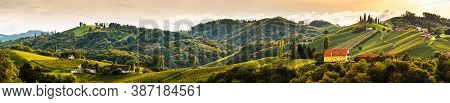 Vineyards Panorama In South Styria, Beginning Of Autumn. Austria Tuscany Like Spot.