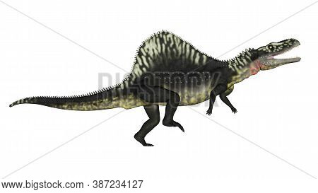 Arizonasaurus Dinosaur Roaring Isolated In White Background - 3d Render
