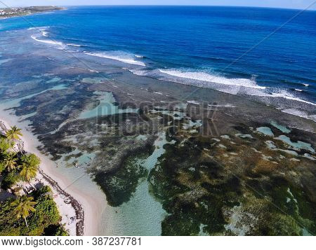 Guadeloupe Coral Reef Drone Aerial View. Bois Jolan Beach.