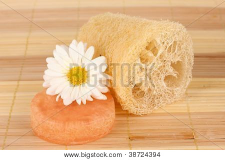Loofah su sfondo di colore