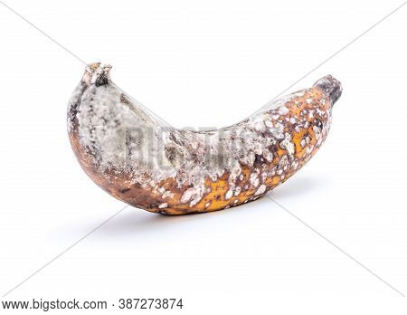 Rootten Banana Isolated On White Background, Banana Tropical Fruit