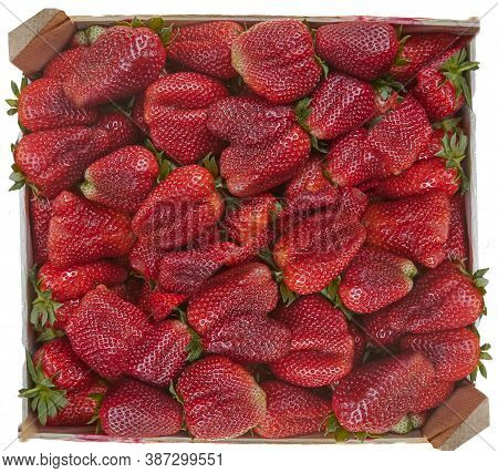 Box Of Strawberries On A White Background. Variety Of Berries Victoria. Food Fructarians